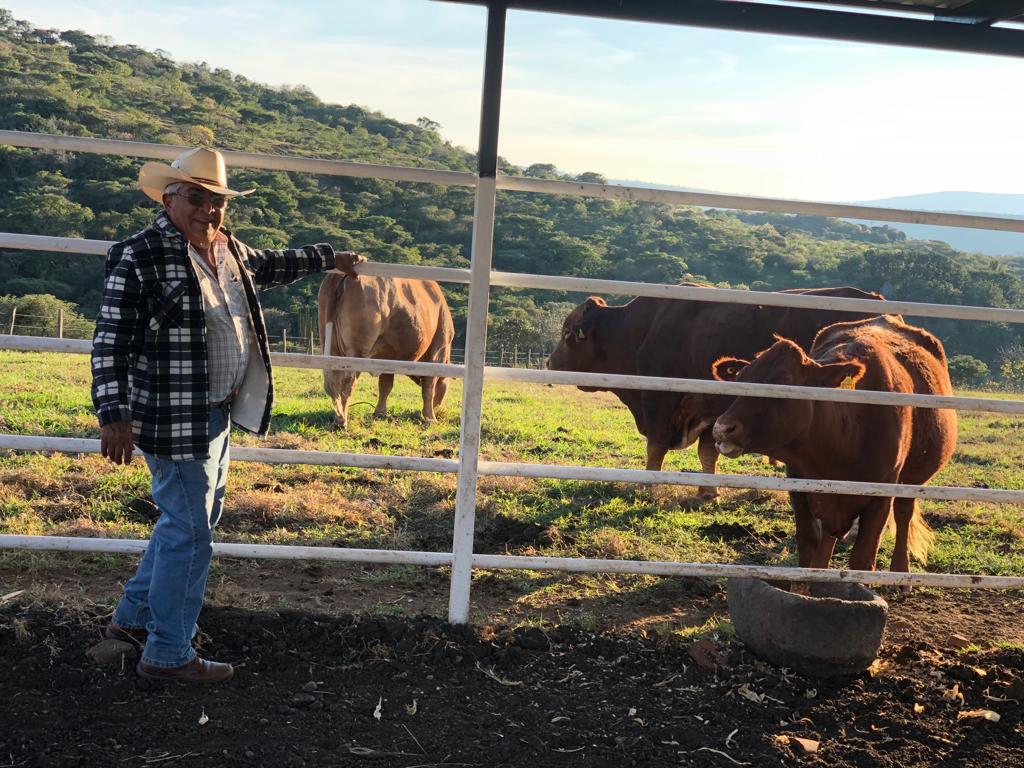 Ganadero de Rancho Piedra Gorda junto a sementales Beefmaster en el potrero